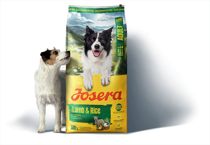 Josera Tiernahrung Die Gesunde Ernährung Für Hunde Und Katzen Einfach Macht